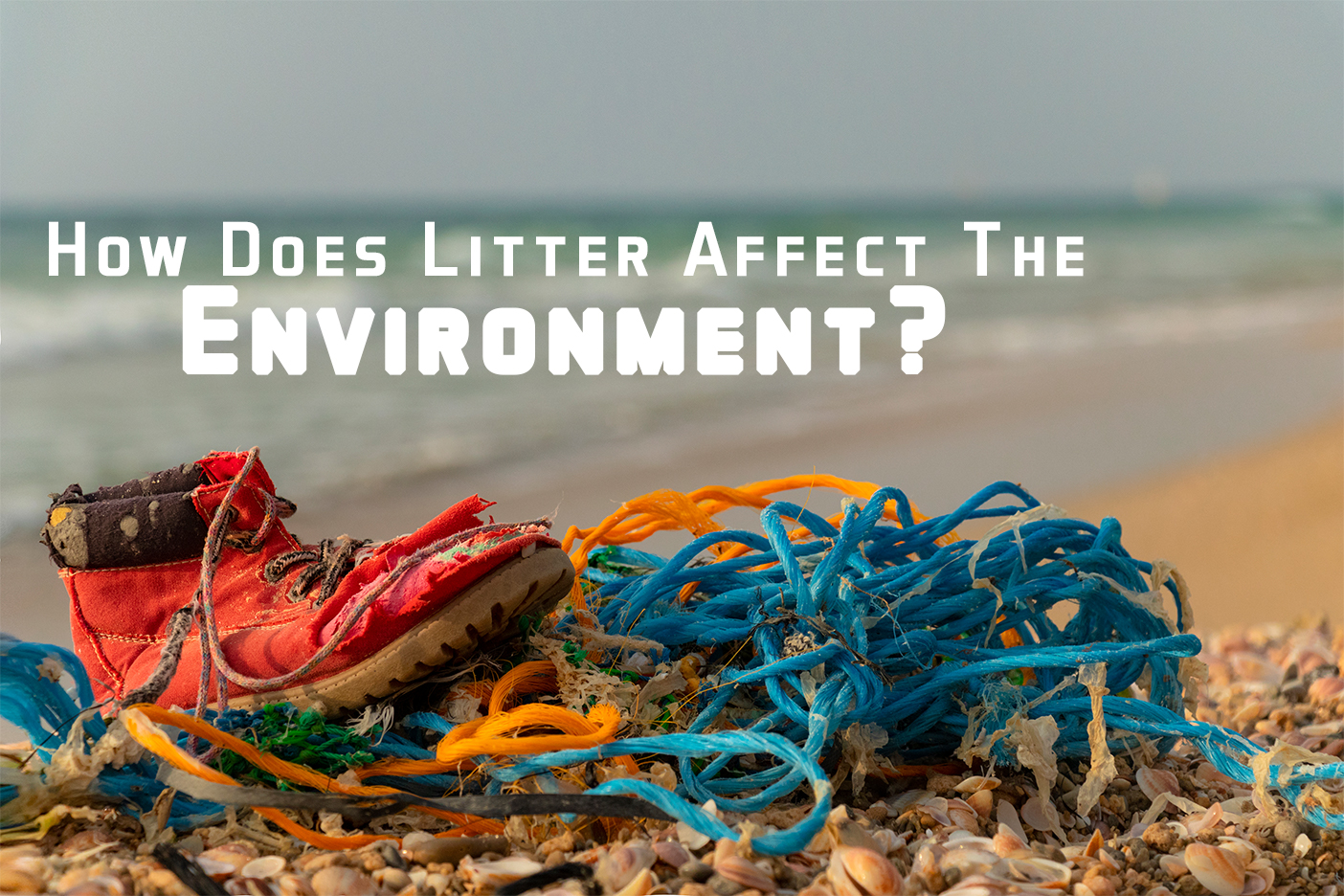 How Does Litter Affect The Environment Insurance Centers Of America