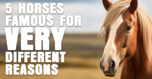 FUN- Five Horses Famous for Very Different Reasons