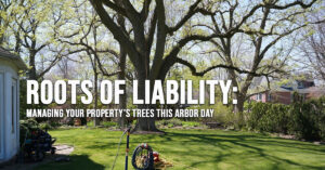 HOME-Roots of Liability_ Managing Your Property’s Trees This Arbor Day